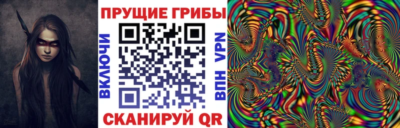 hydra tor  Кохма  Псилоцибиновые грибы MAGIC MUSHROOMS 